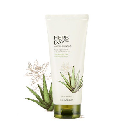 Sữa Rửa Mặt Lô Hội & Trà Xanh Herb Day 365 Master Blending Foaming Cleanser 170ml